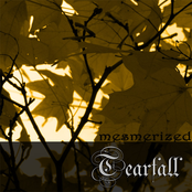 Tearfall