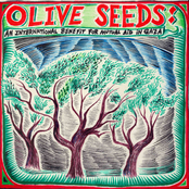 Olive Seeds: An International Benefit for Mutual Aid in Gaza