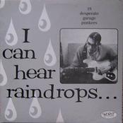I Can Hear Raindrops - 18 Desperate Garage-Punkers