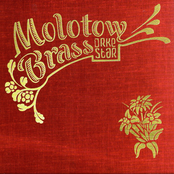 Molotow Brass Orkestar [WM Recordings]