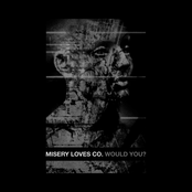 Misery Loves Company: Would You?