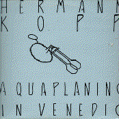 Aquaplaning in Venedig