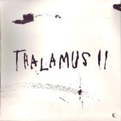 Thalamus II