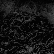 Out of Fear - Single