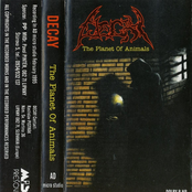 The Planet Of Animals