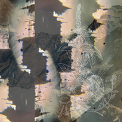 Formationer På Gyldne Græsgange