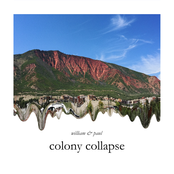 Colony Collapse