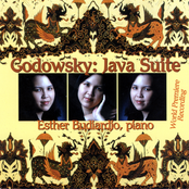Godowsky: Java Suite