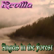 angels in the forest