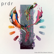 How Did the Desert Bloom - Single