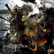 The Harmony Of Sorrow