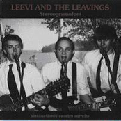 Etkö Näe Että Tanssin by Leevi And The Leavings