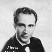 flores el gaditano