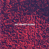 Thank You by Sig Transit Gloria