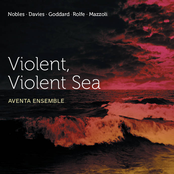 Violent, Violent Sea