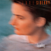 Jane Siberry: The Walking