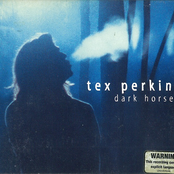 Fine Mess by Tex Perkins