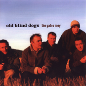 The Wisest Fool by Old Blind Dogs
