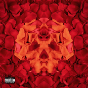Whiskey & Roses [Explicit]