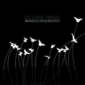 Bravado (Limited Edition)