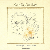 Paddy Moloney: The Wild Dog Rose