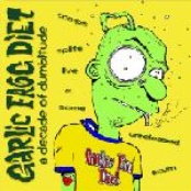 A decade of dumbitude