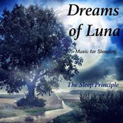 Dreams of Luna (Music for Sleeping)