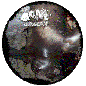 Amphibians Performing Surgery 2