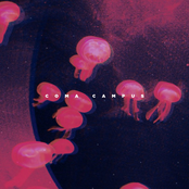 Coma Campus EP