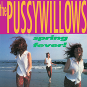 The Pussywillows: Spring Fever!