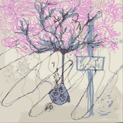 Terrazas Se Vuelven Oasis