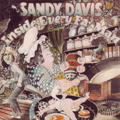 sandy davis