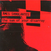 The Sum Of Your Disarray