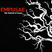 Fragments Of Cerebral Dimensions by Empusae