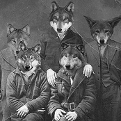 the republic of wolves