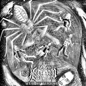 Web of Terror
