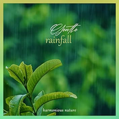 Gentle Rainfall