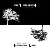 Insaneous Land