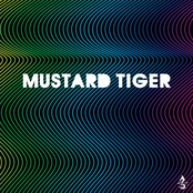 Mustard Tiger