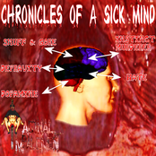 Chronicles Of A Sick Mind