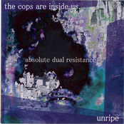 absolute dual resistance