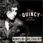 Roadside Recovery