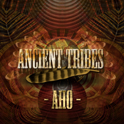 Aural Cleaner by Aho