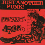 Just Another Punk