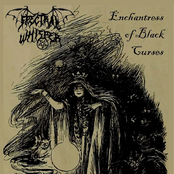 Enchantress of Black Curses