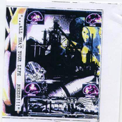 All That Your Life Needs