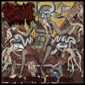 Crushed Within His Maw