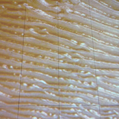 MY CORPSE RIDES TO HEAVEN'S GATE