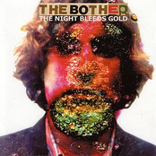 The Night Bleeds Gold