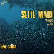 Sette Mari (Avventura Musicale Nei Mari Del Mondo)